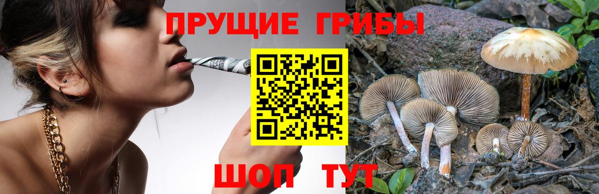 Галлюциногенные грибы GOLDEN TEACHER Алатырь