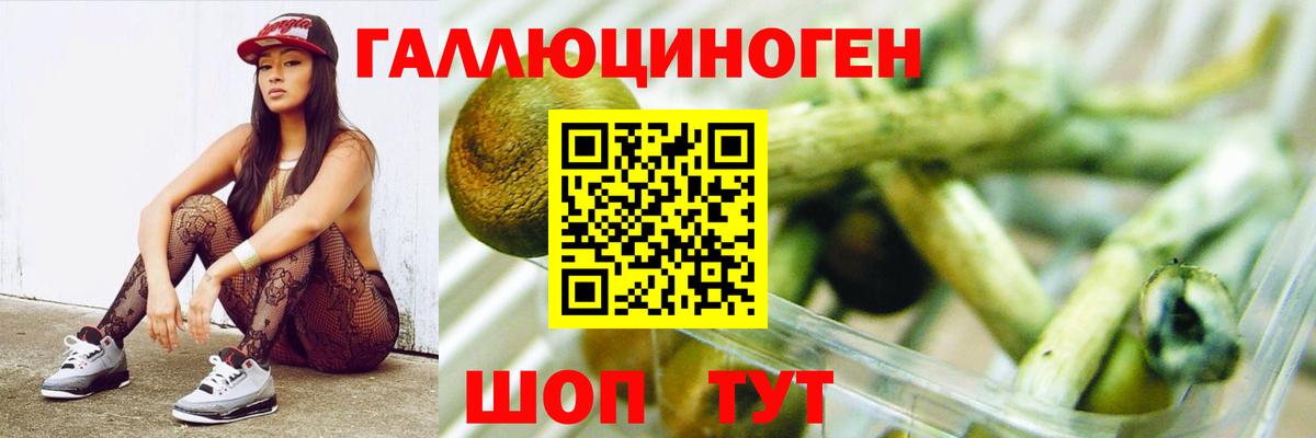 Галлюциногенные грибы Magic Shrooms  Вход с VPN  Галлюциногенные грибы Cubensis  Алатырь 